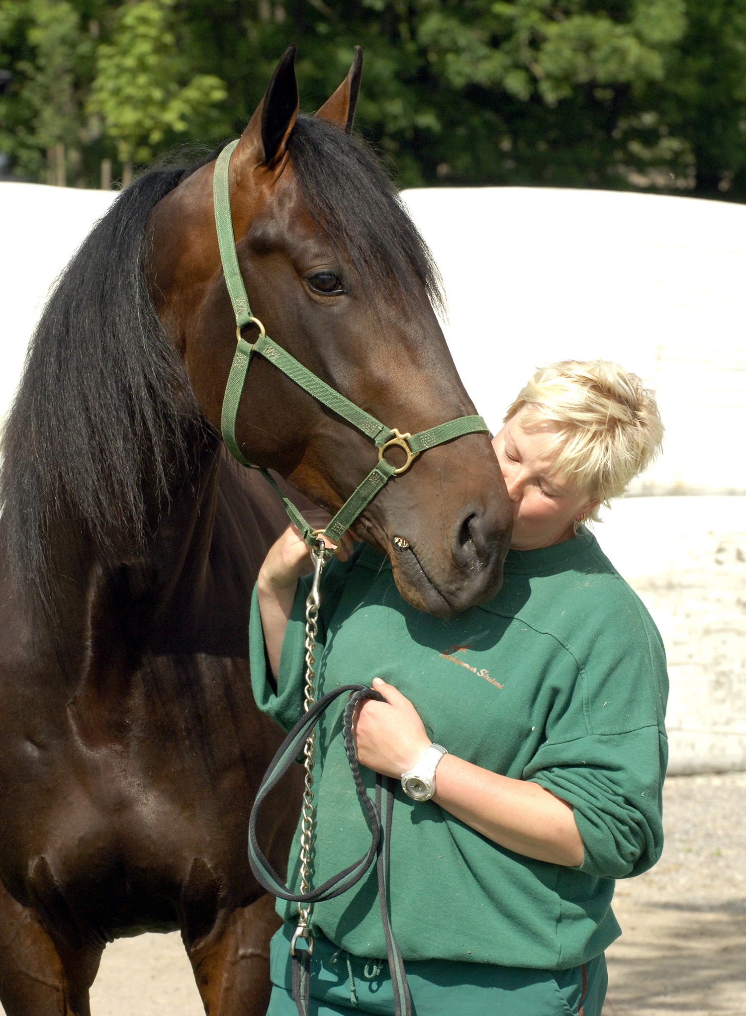 Jaded tillsammans med sin skötare Ulrika Wällstedt. "Ullis" som skötte om tre av J-kullens hästar, Jaded, Jocose och Jampacked. Foto; ALN Pressbild